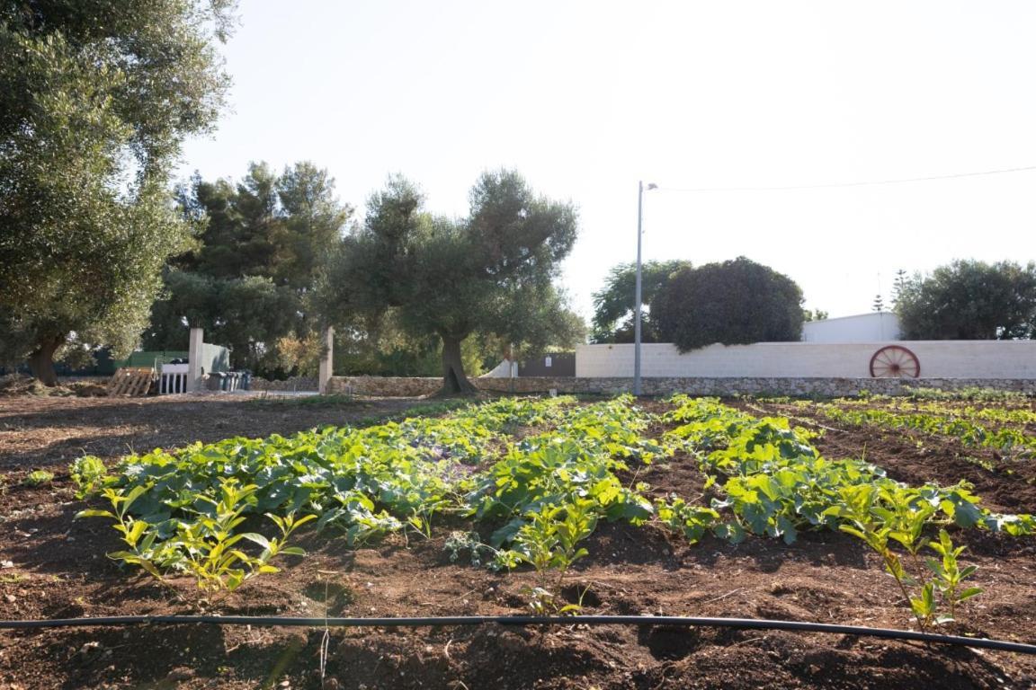 Agrifamily Village San Vito dei Normanni Exterior foto