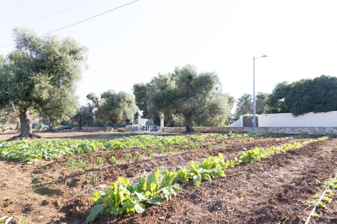 Agrifamily Village San Vito dei Normanni Exterior foto